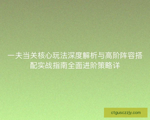 一夫当关核心玩法深度解析与高阶阵容搭配实战指南全面进阶策略详