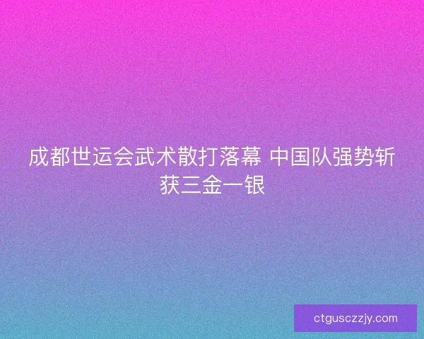 成都世运会武术散打落幕 中国队强势斩获三金一银