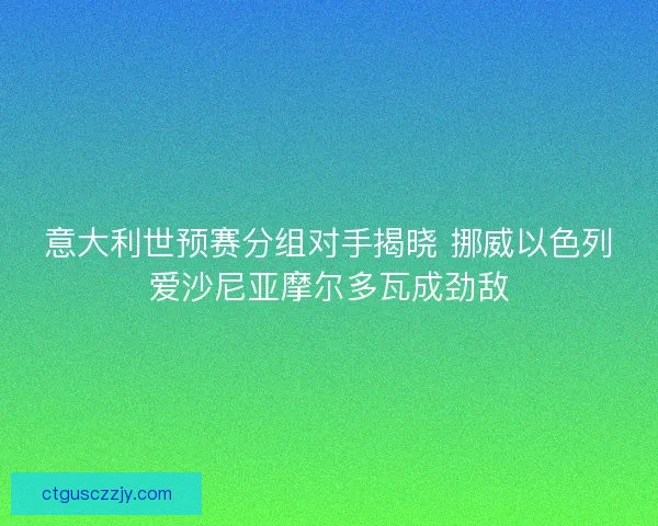 意大利世预赛分组对手揭晓 挪威以色列爱沙尼亚摩尔多瓦成劲敌